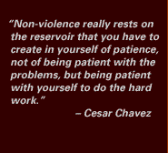 Quote: Nonviolence really rests on the reservoir that you have to create in yourself of patience, not of being patient with the problems, but being patient with yourself to do the hard work. --Cesar Chavez