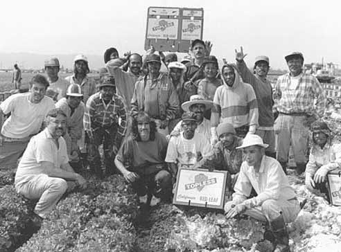 Film crew with farmworkers in a field